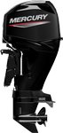  Mercury Fourstroke 40hp EFI 4 Cylinder 