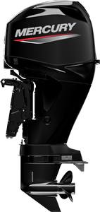 Mercury   Fourstroke 40hp EFI 4 Cylinder Engine