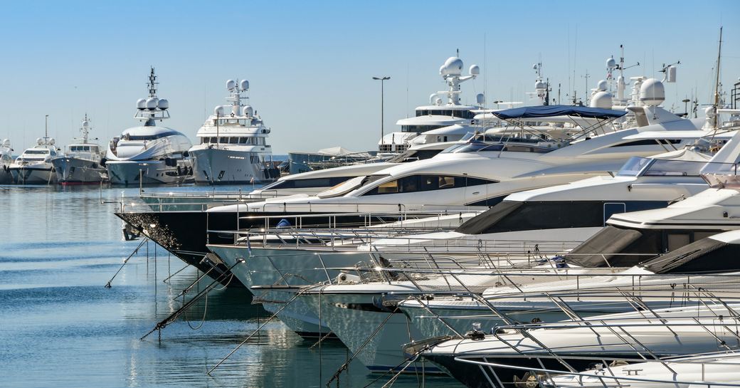 Motor yachts in a marina