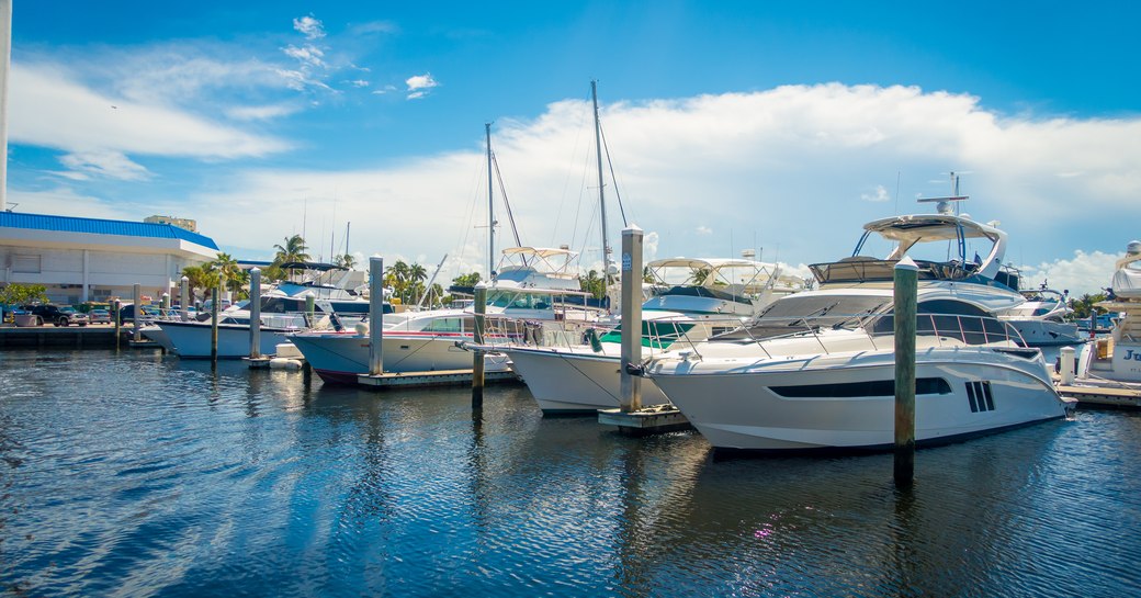 Motoryachts at anchor at FLIBS, surrounded by palms and sea