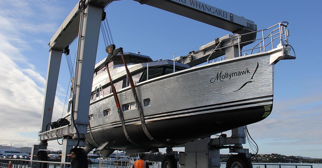 Mollymawk being lowered into water