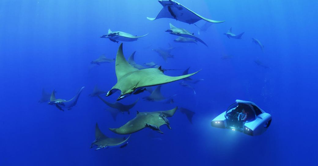 NEMO submarine underway, under the sea with stingrays 