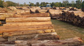 Sunseeker  fined over use of illegal Myanmar teak