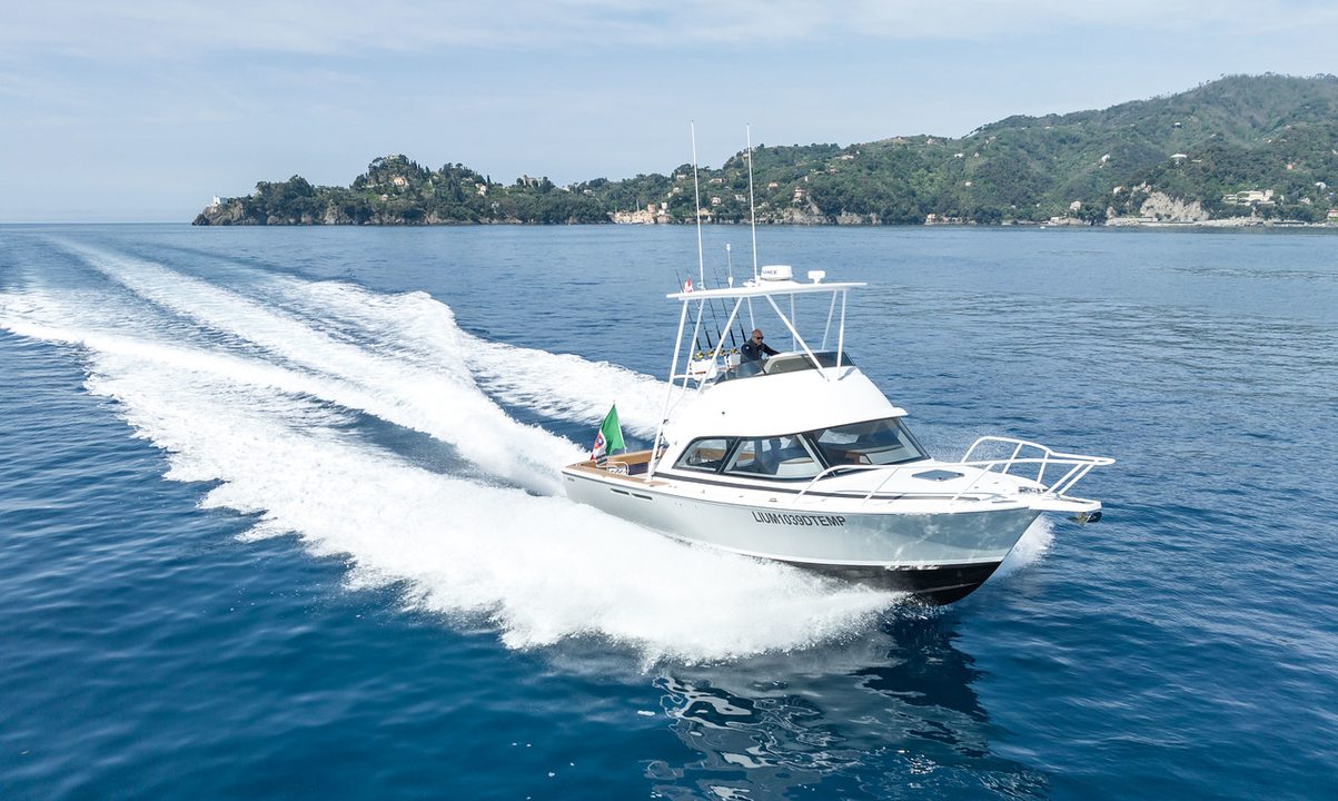 Bertram 35 Flybridge