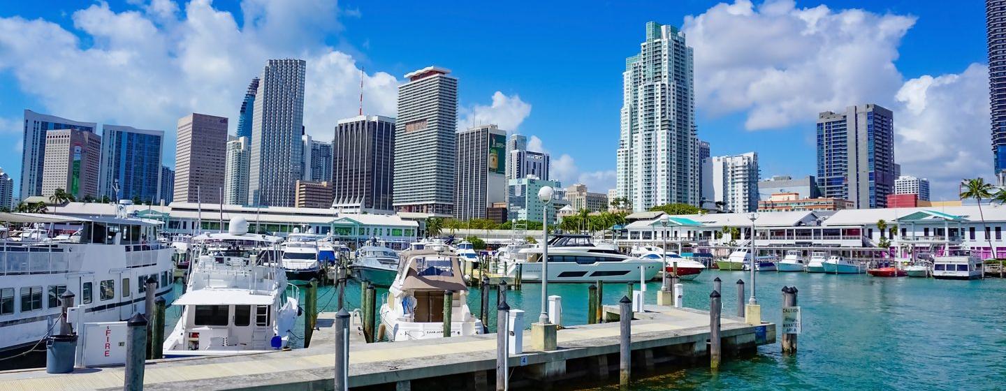 Miami marina and skyline