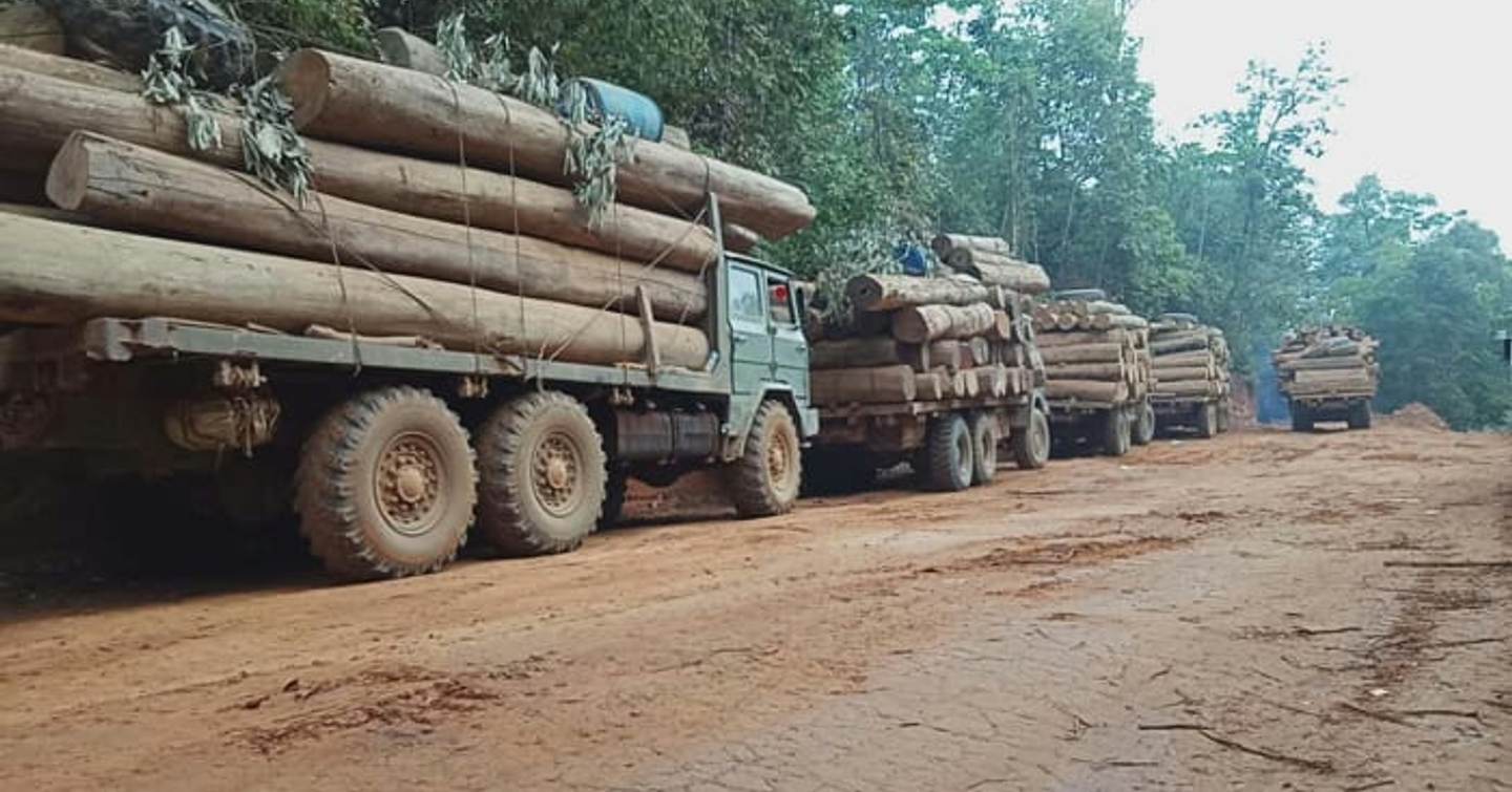 Transporting logs in Myanmar