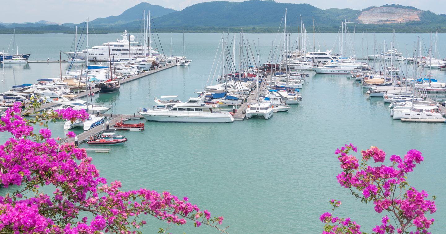 Yachts in a marina with pink flowers 