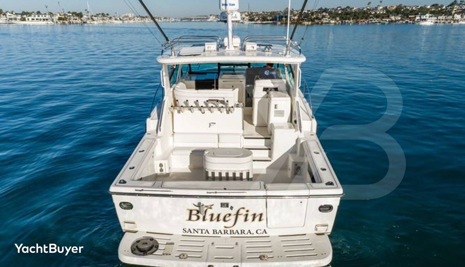 Bluefin