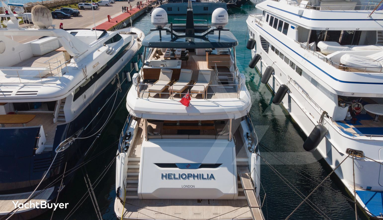 HELIOPHILIA