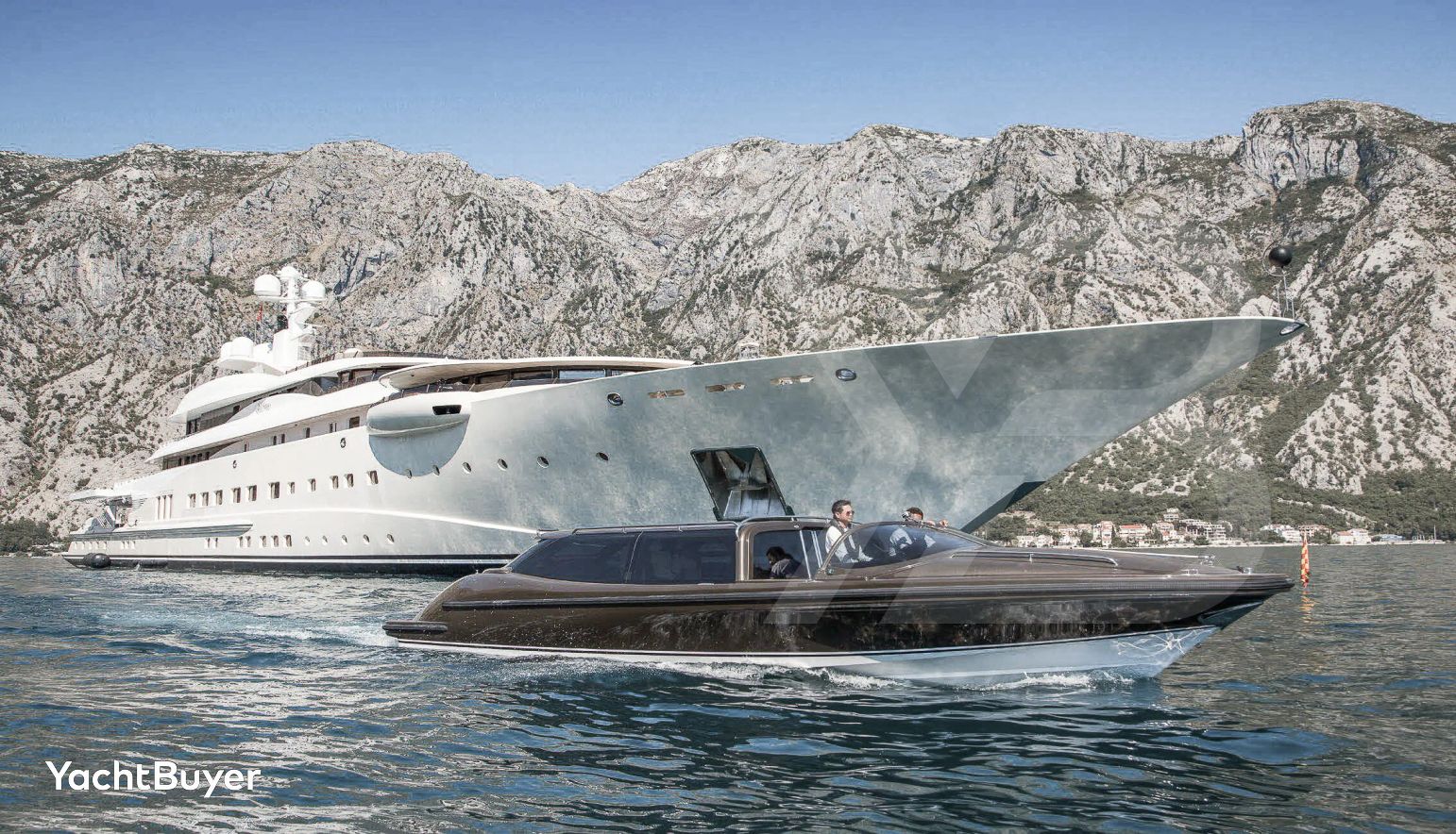 Pelorus