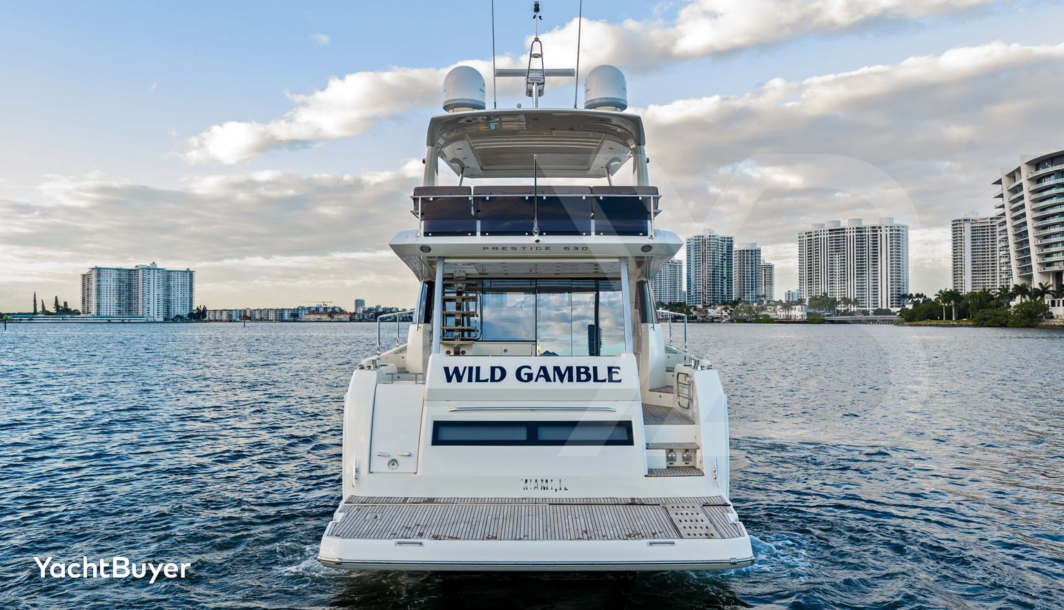 WILD GAMBLE