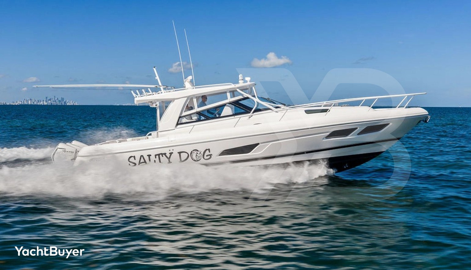 Salty Dog