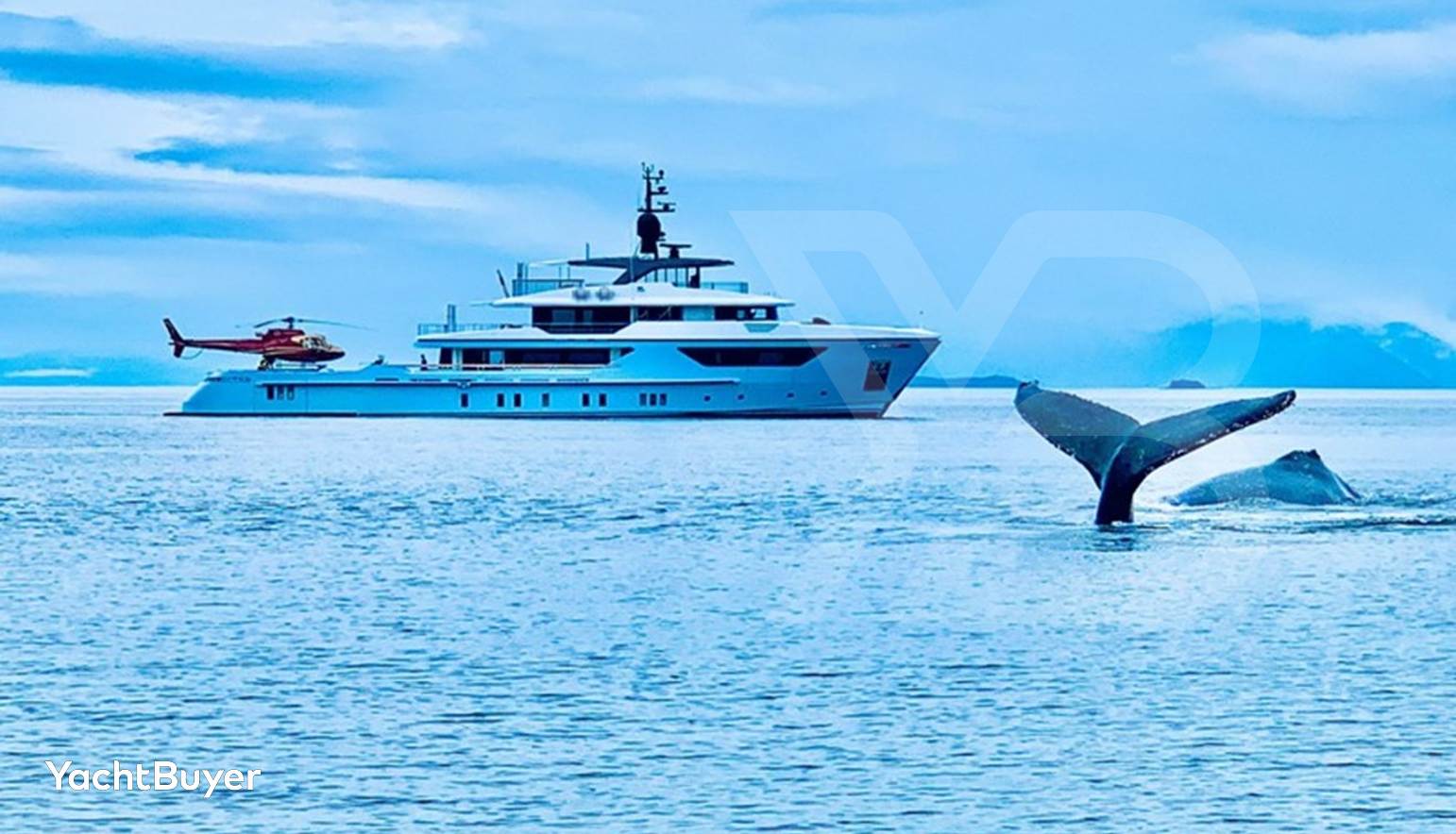 Oceandreamwalker III