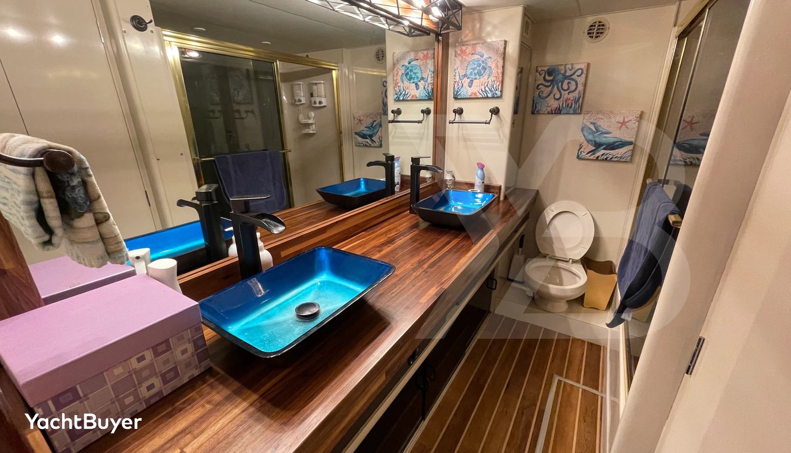 Nauti