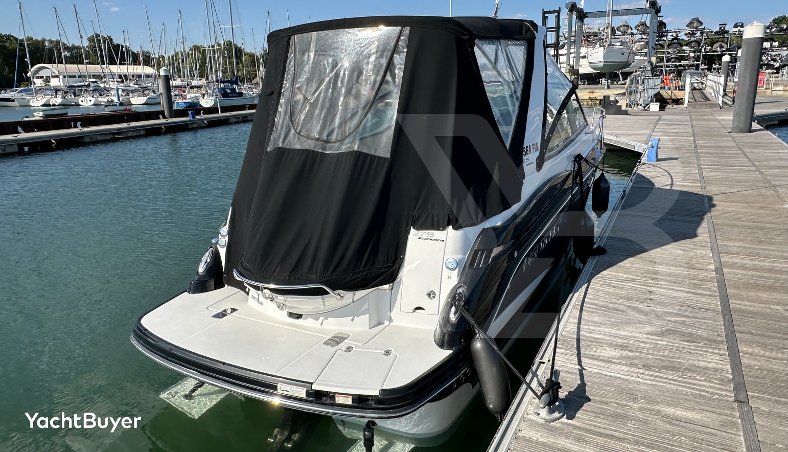 Sea Fin