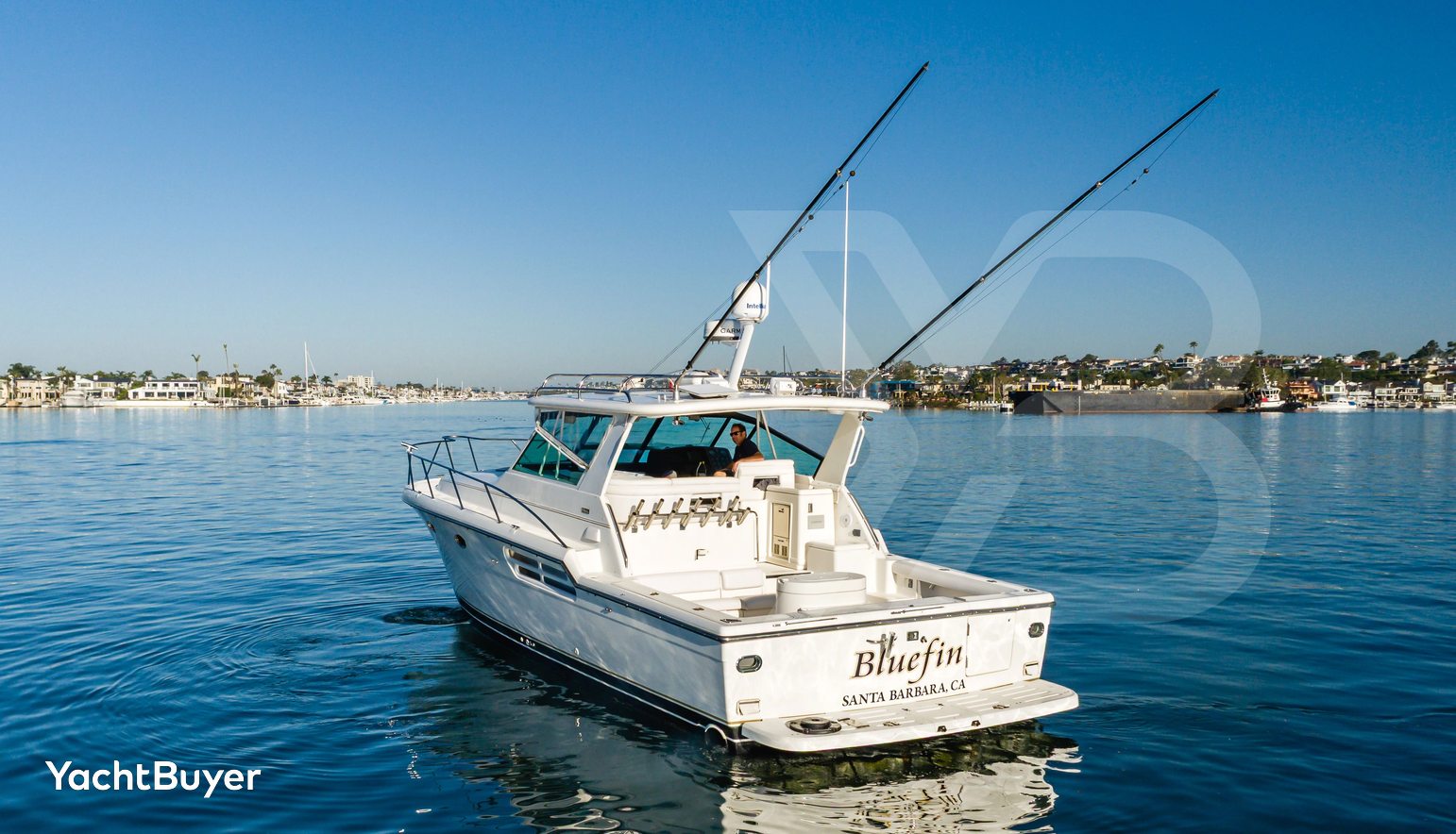 Bluefin