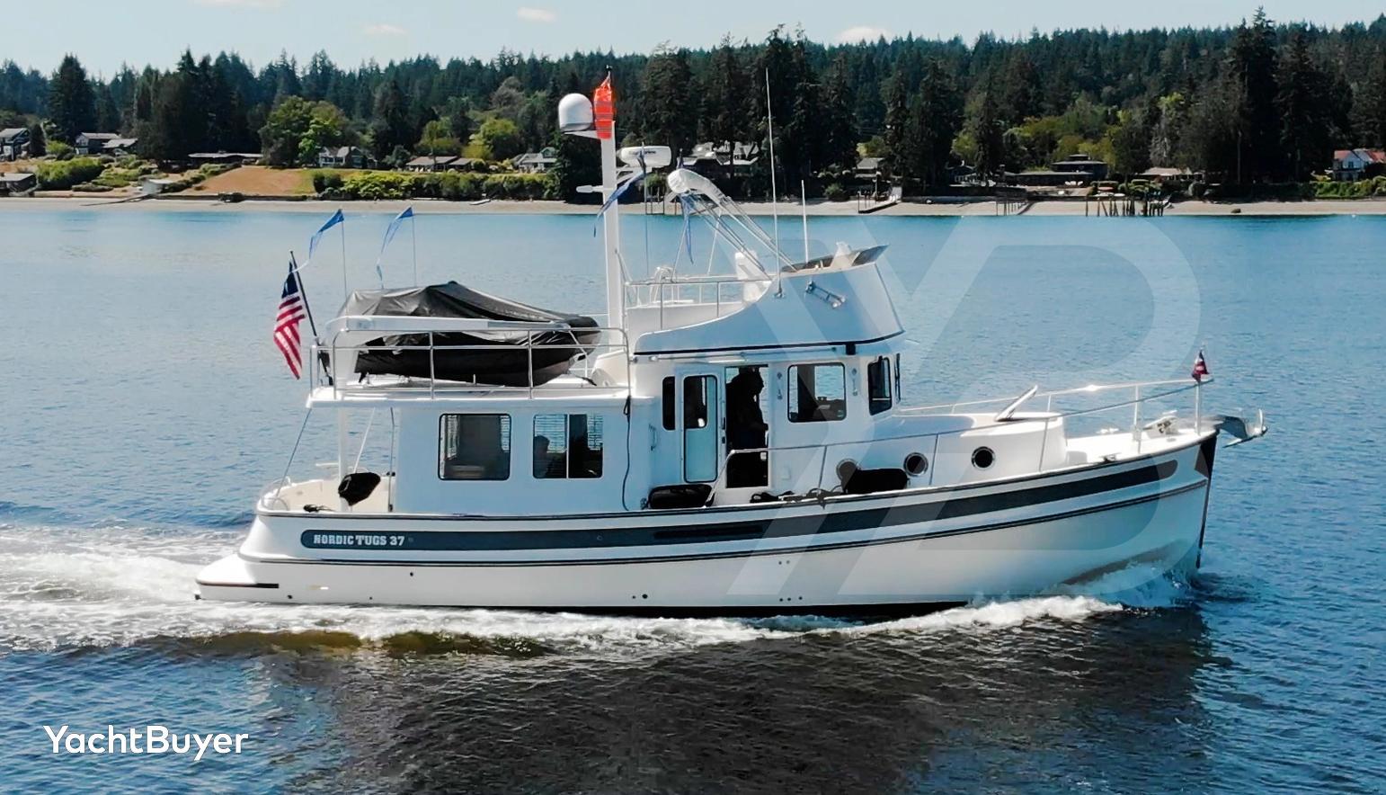 Sea Stars