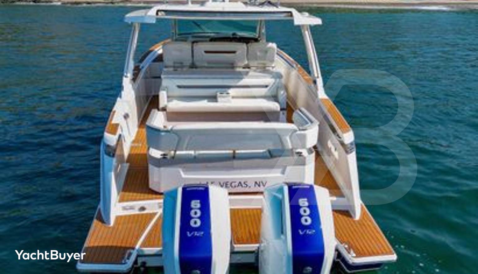 OSO DEL MAR