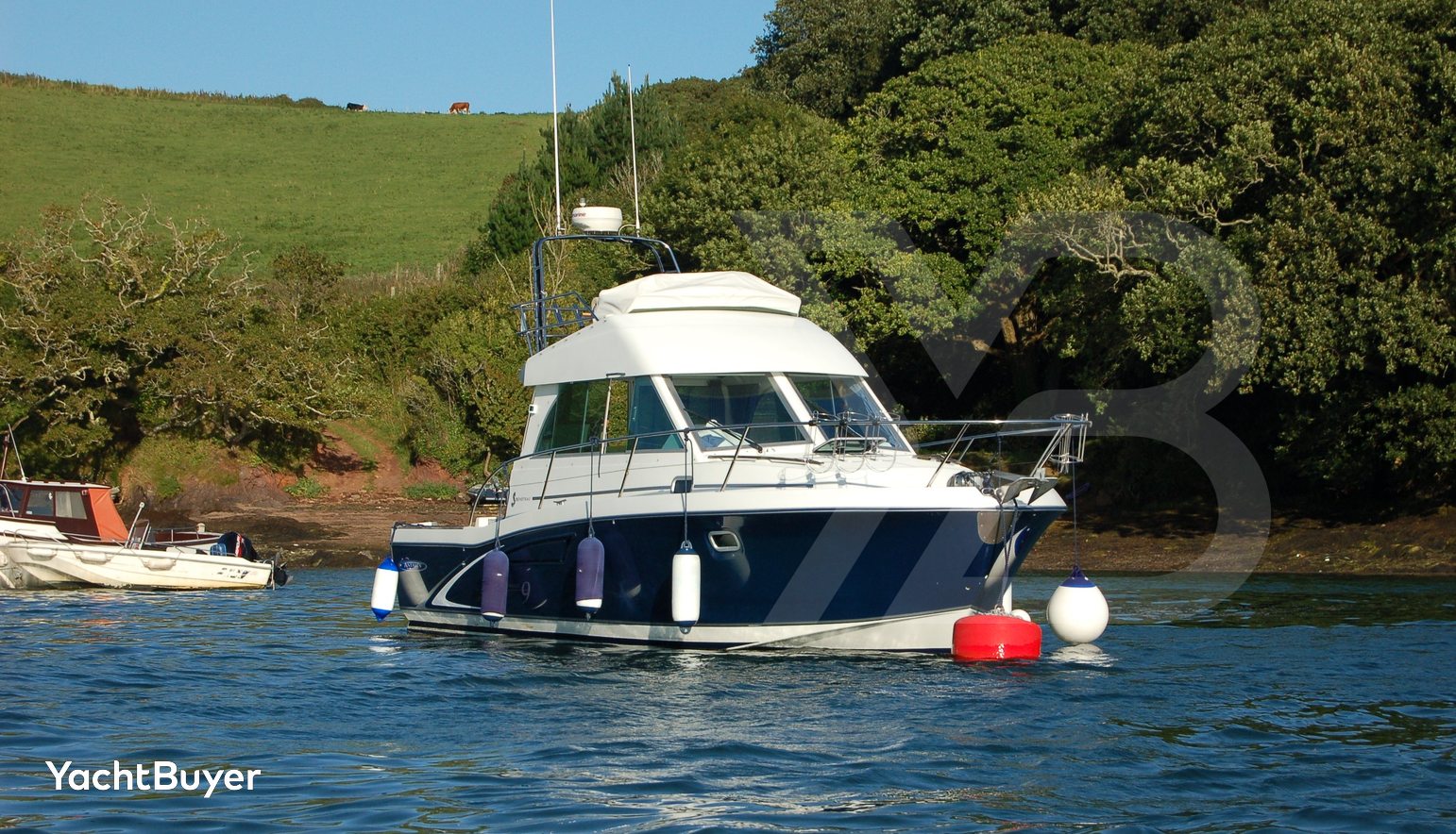 Aquamanda