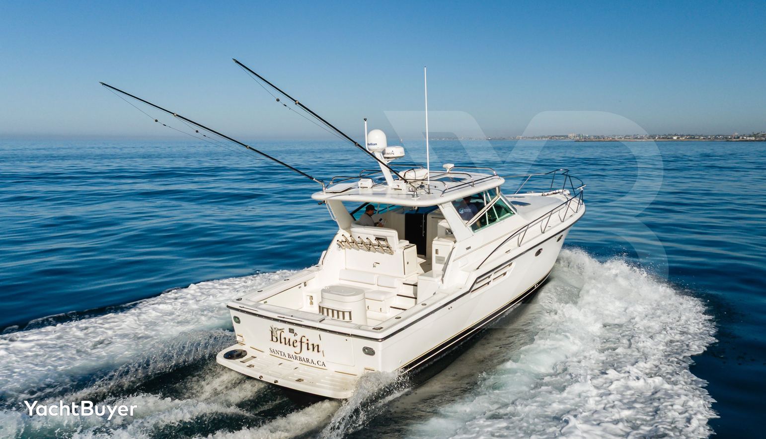 Bluefin