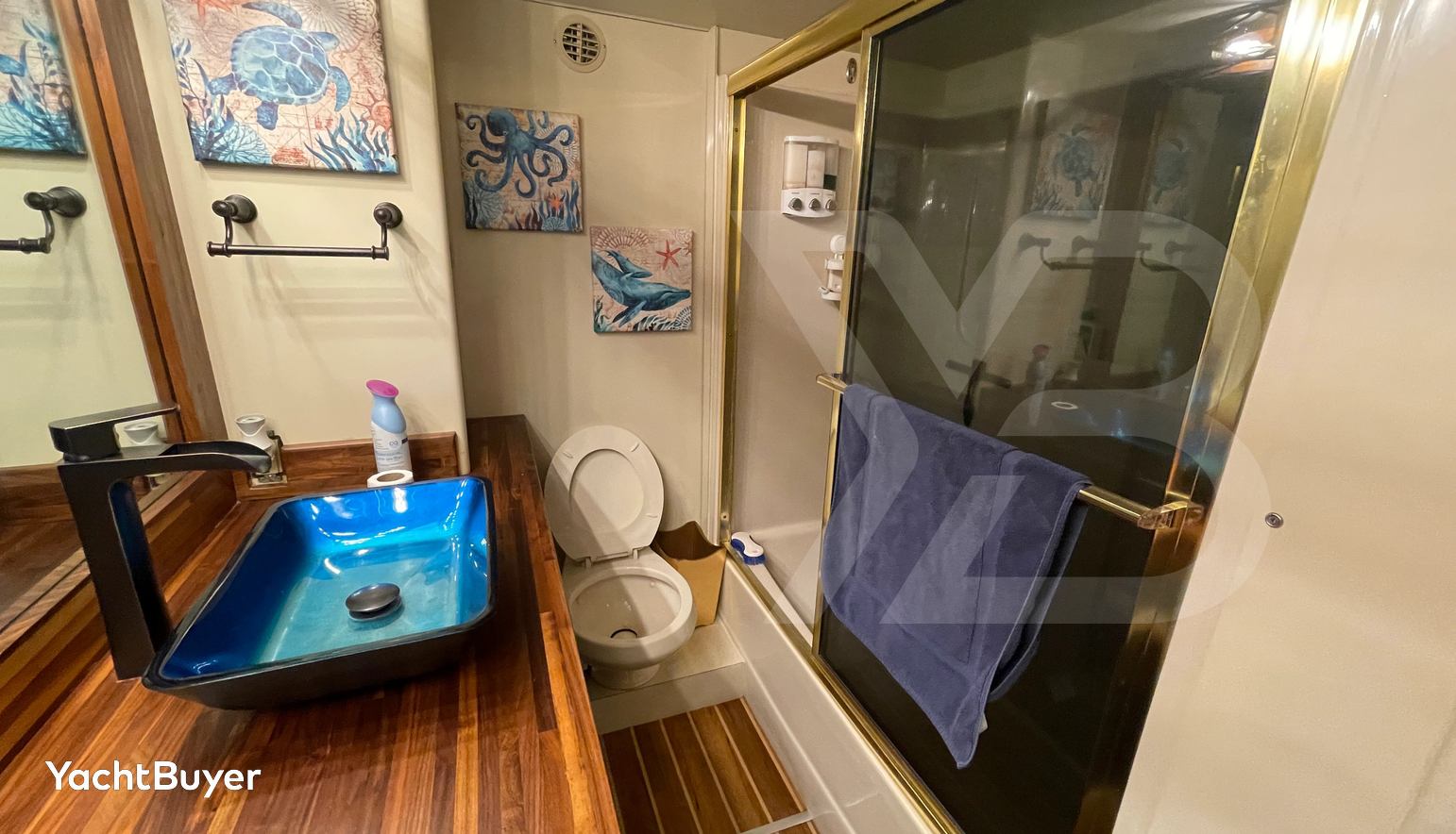 Nauti
