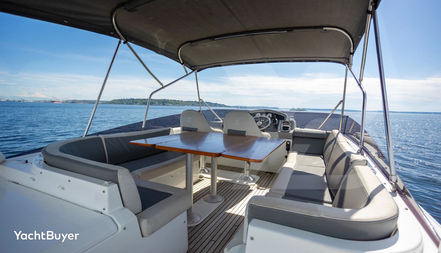 Amber Roots