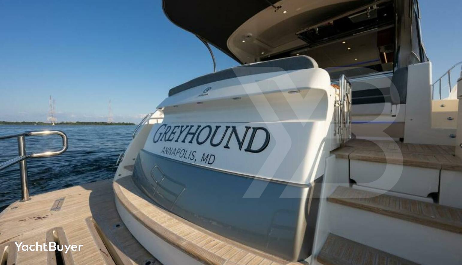 Greyhound