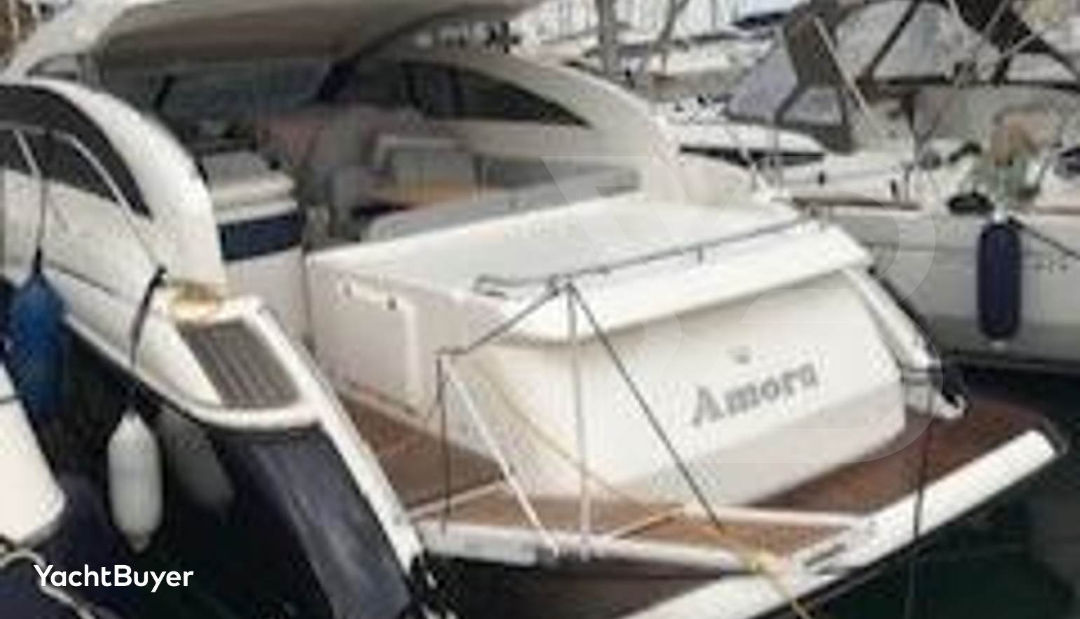 Amora