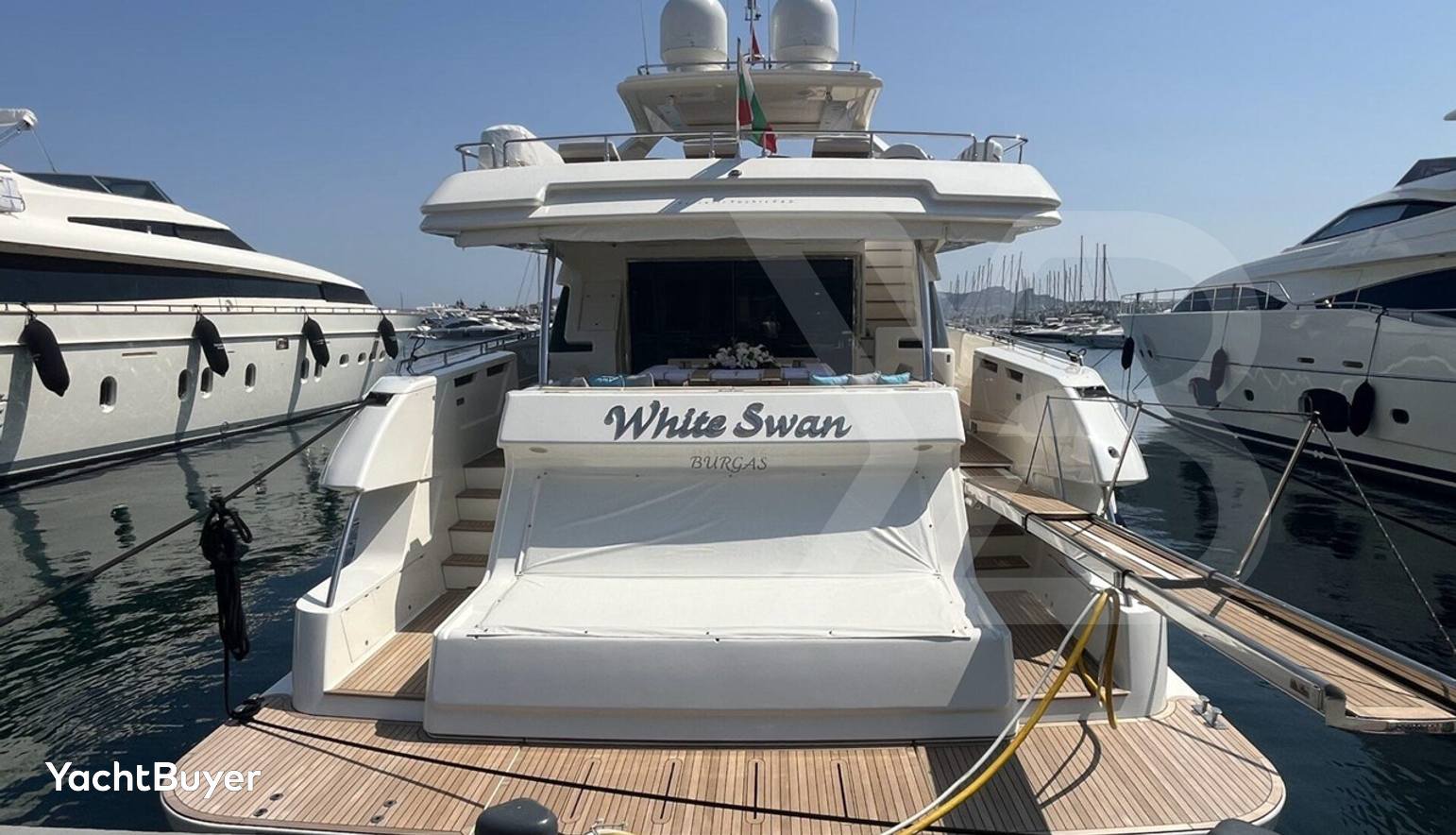White Swan