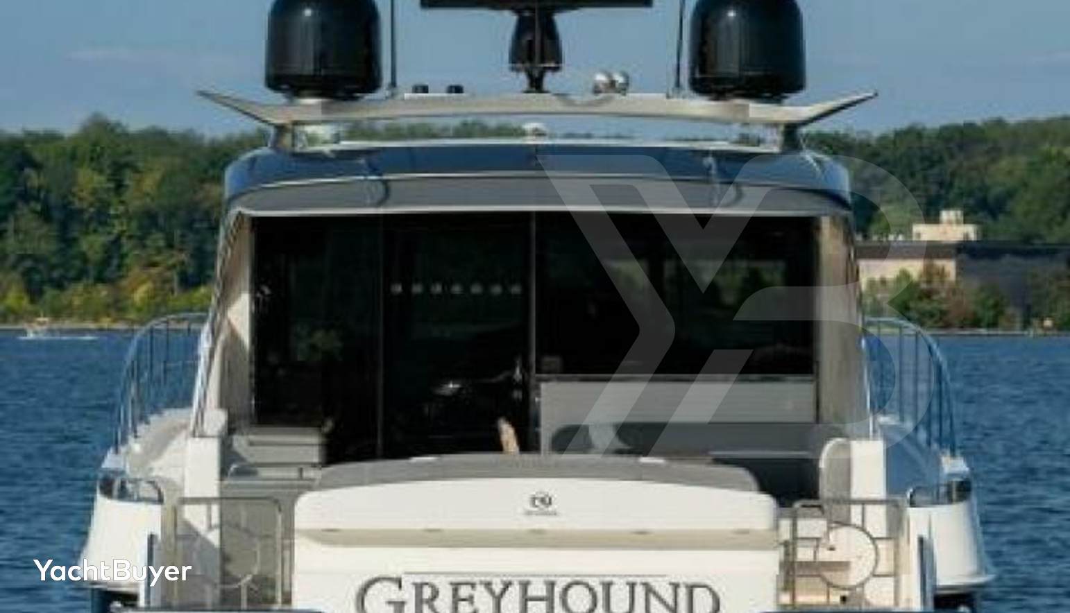 Greyhound