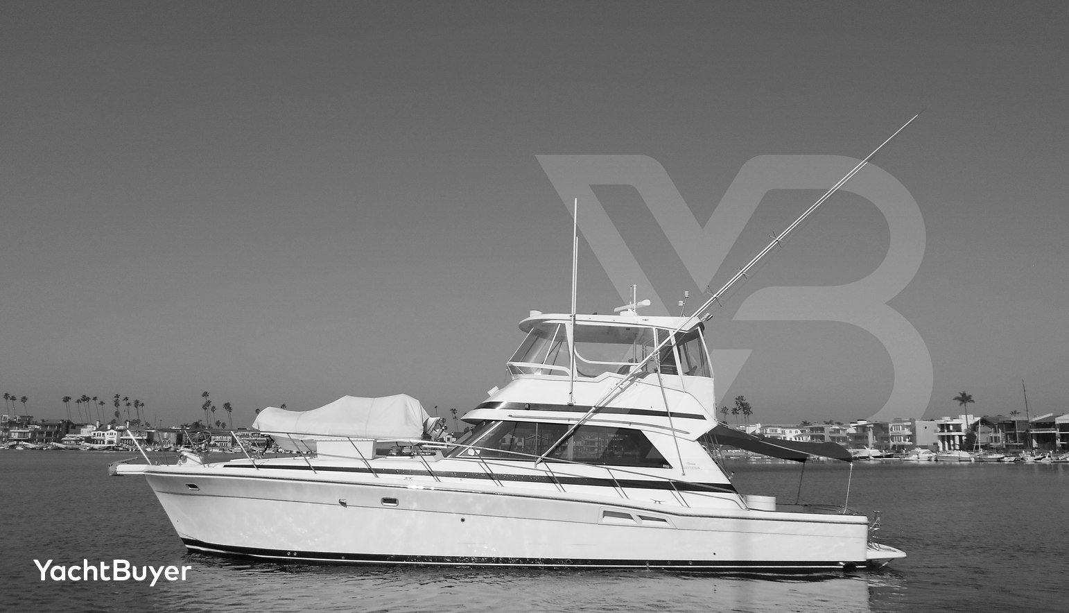 Yacht Z