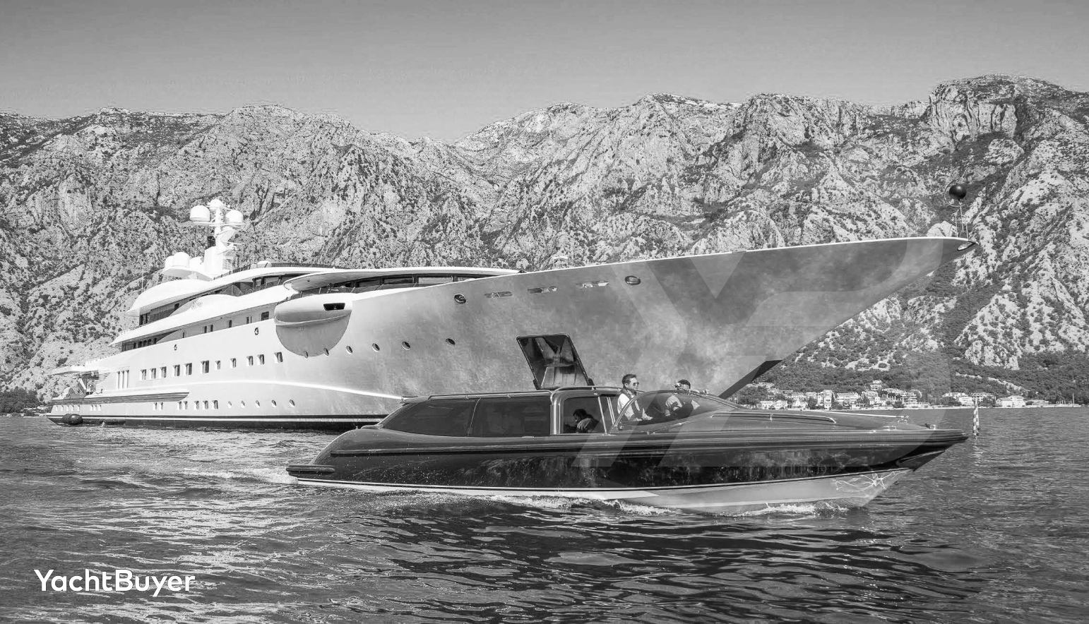 Pelorus