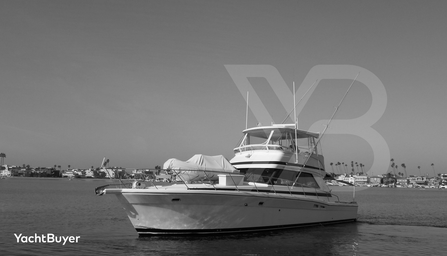 Yacht Z