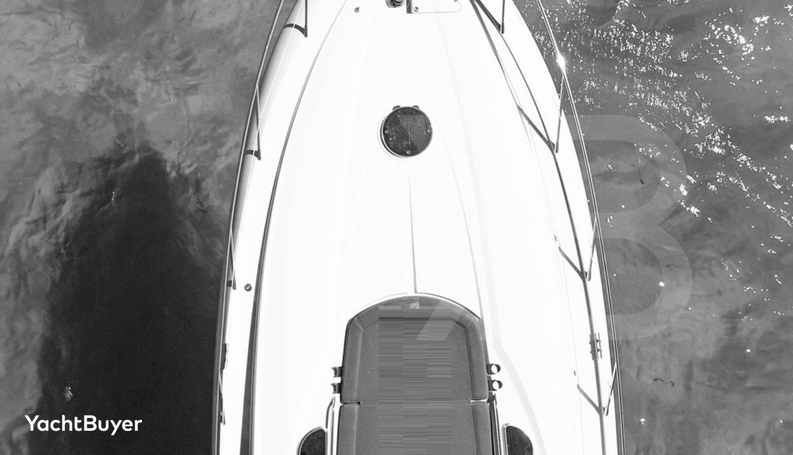 P53