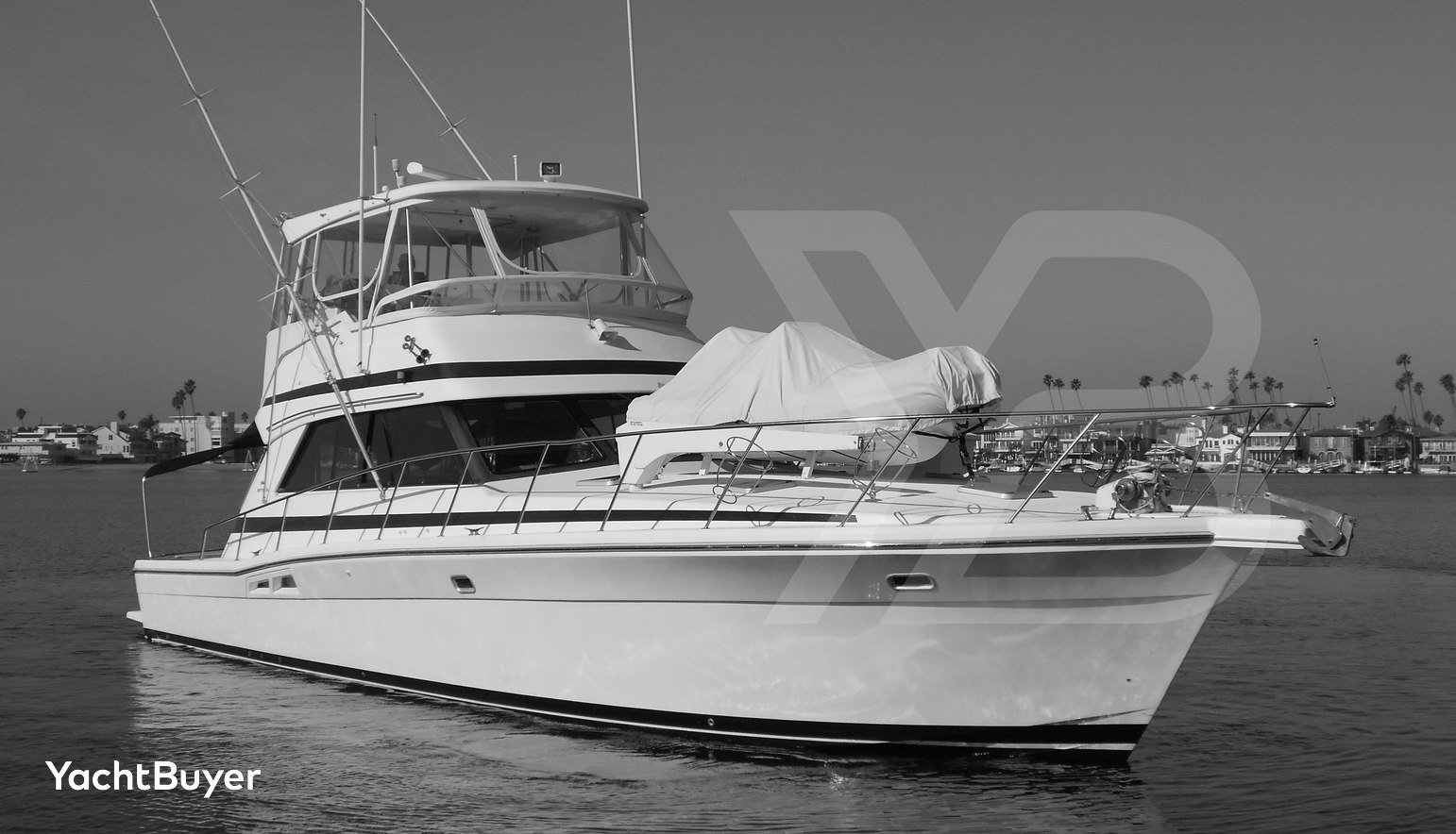 Yacht Z