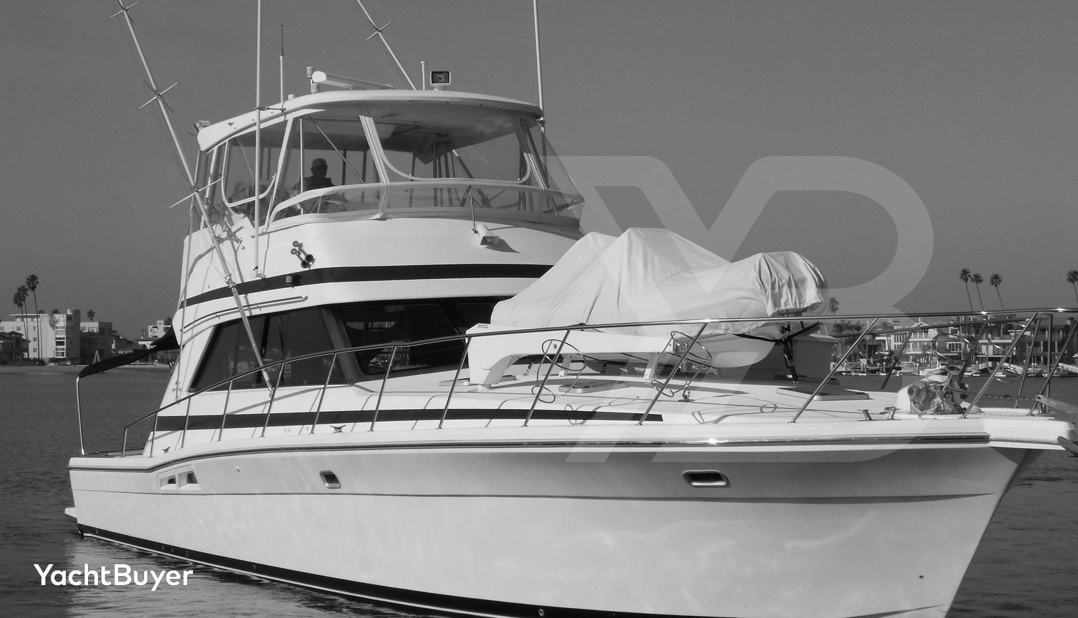 Yacht Z