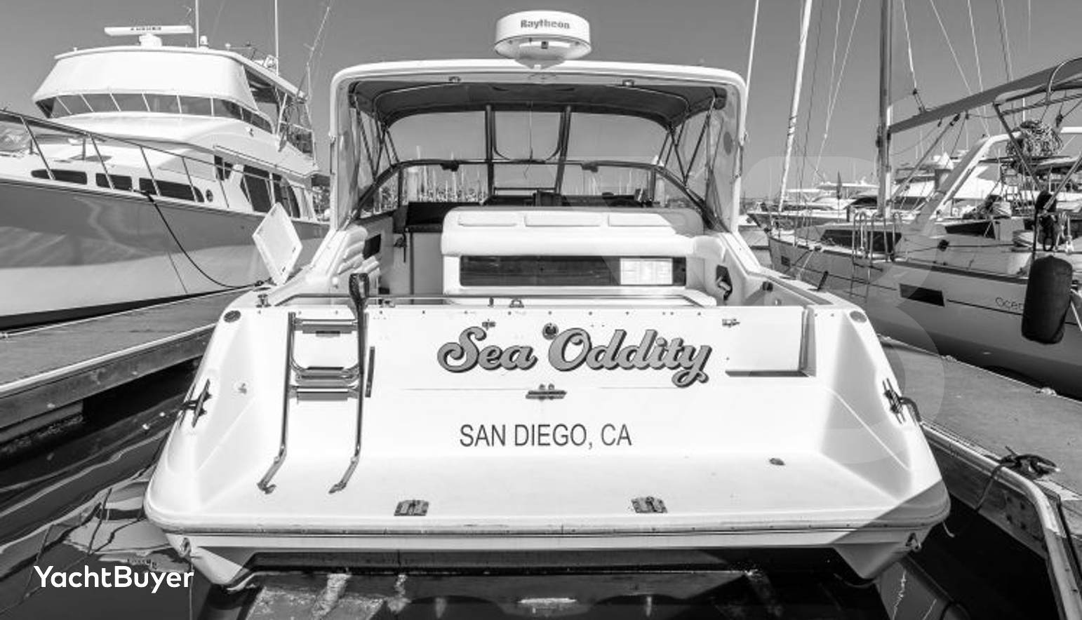 Sea Oddity