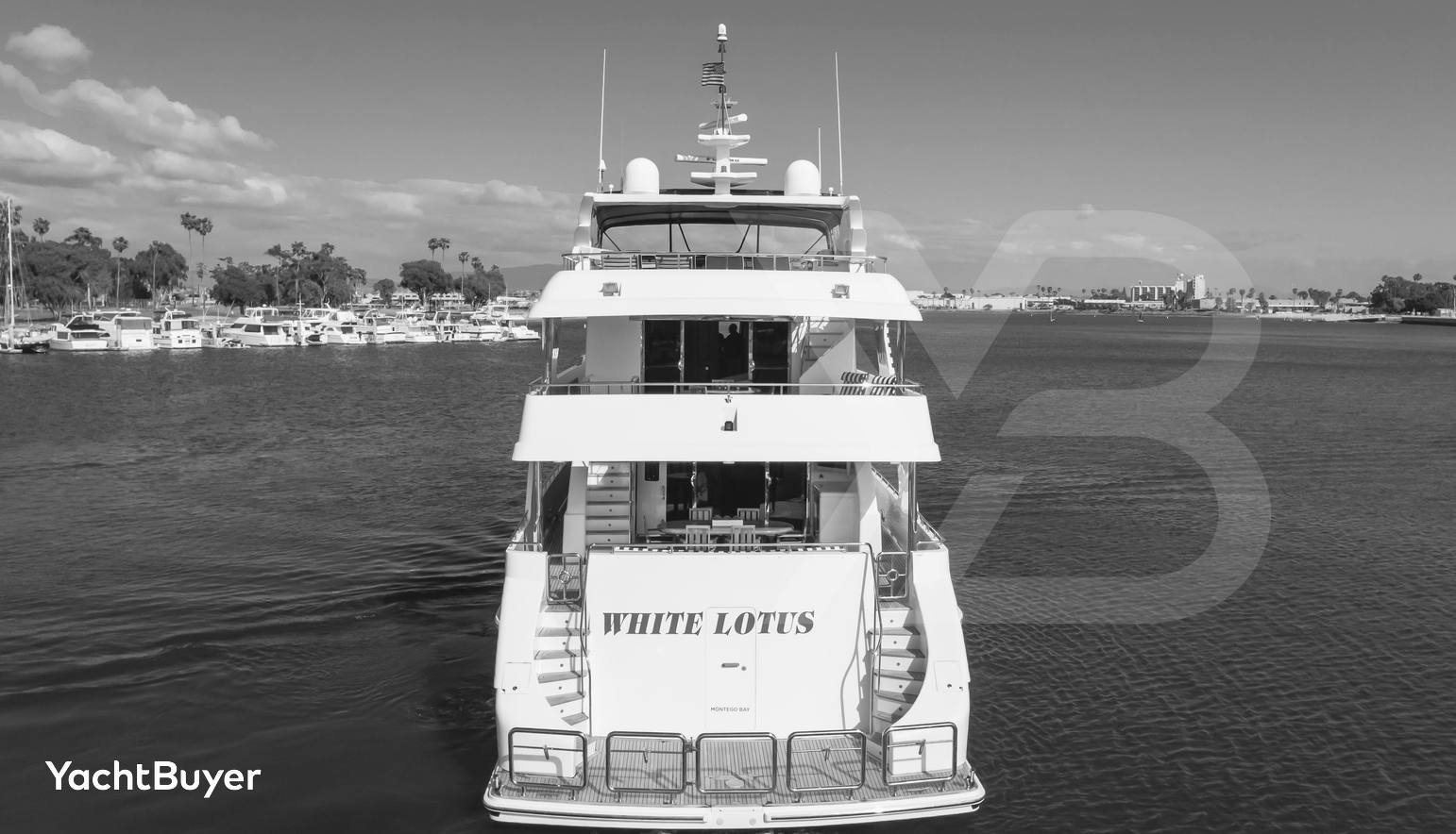 WHITE LOTUS