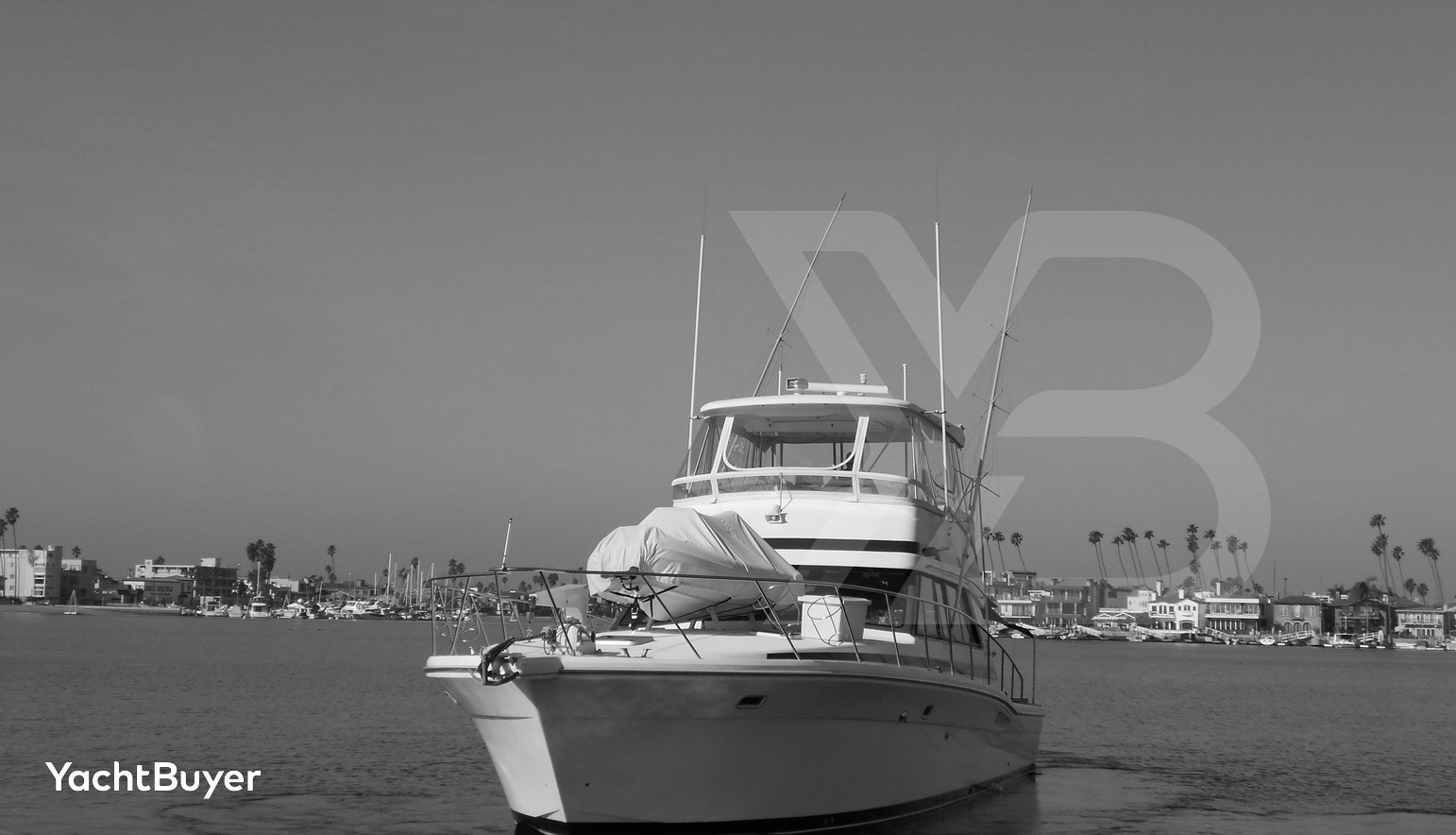 Yacht Z