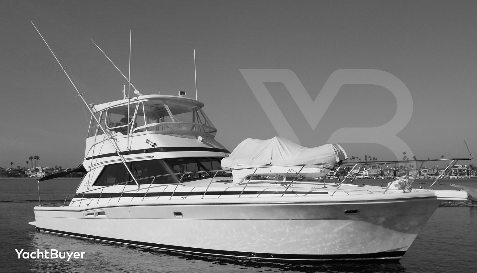 Yacht Z