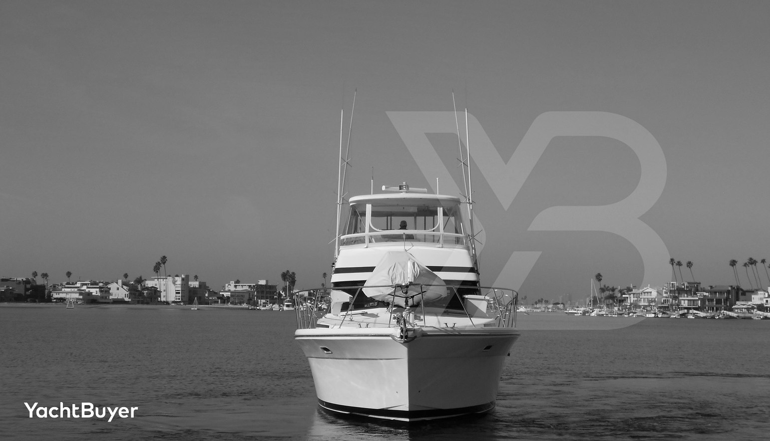 Yacht Z
