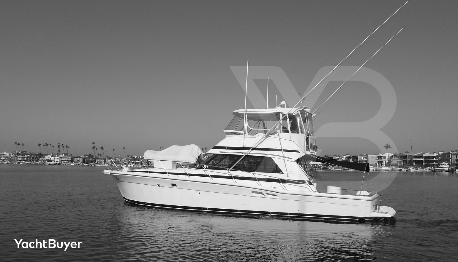 Yacht Z