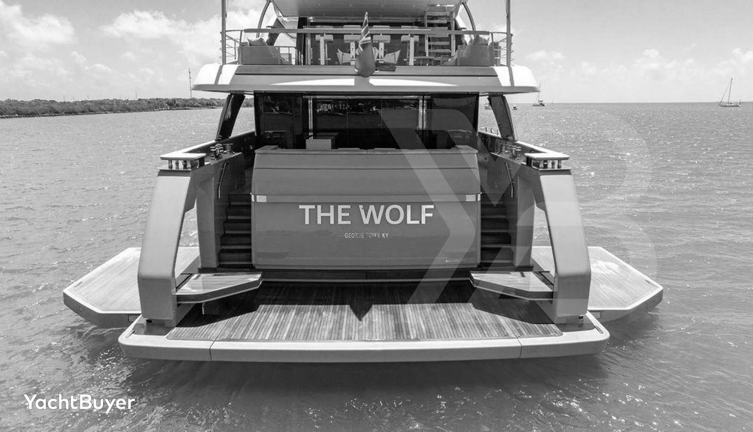 THE WOLF