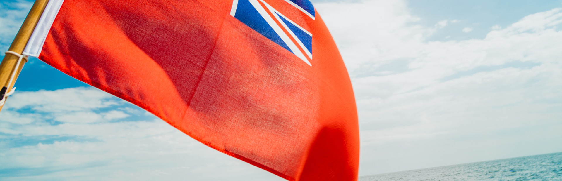 Flags & Classifications
