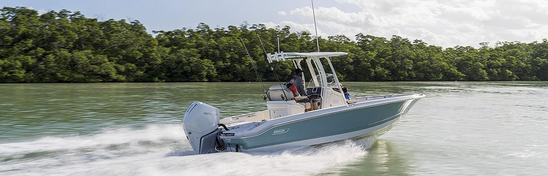 New Boston Whaler Dauntless Boat 2