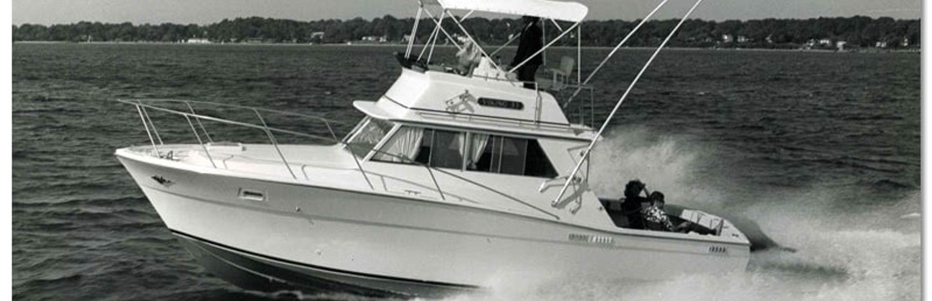 Viking 33 Convertible Boat, Example 1
