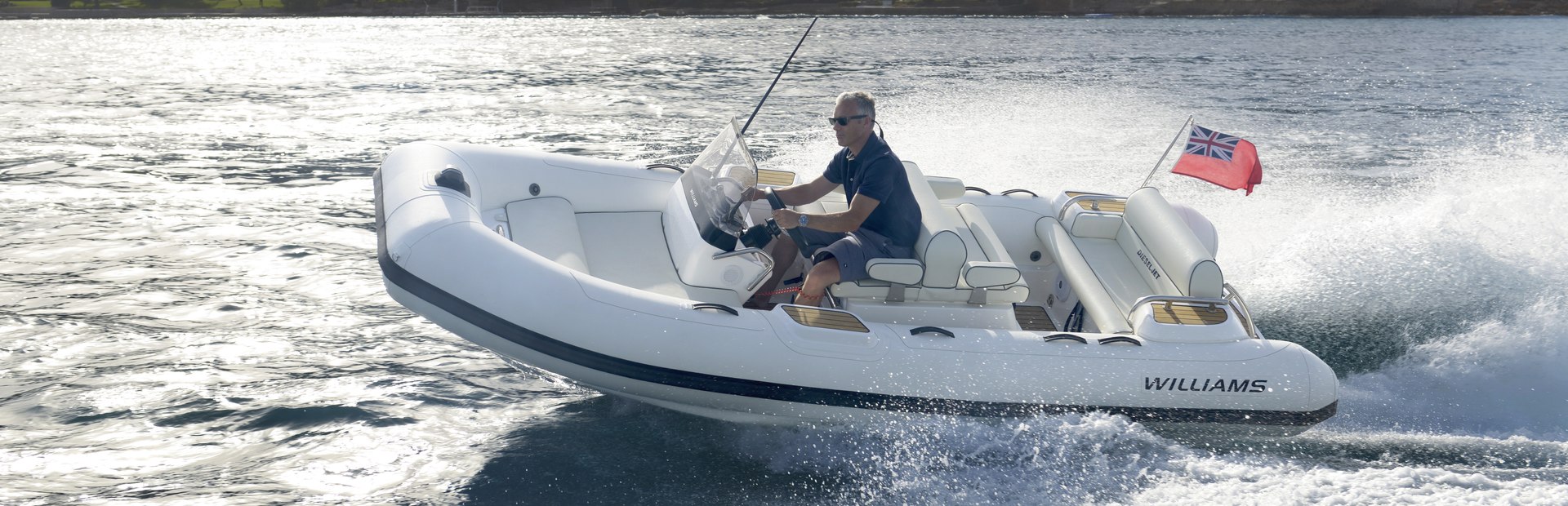                                                 Williams Jet Tenders   DieselJet 445
                                            