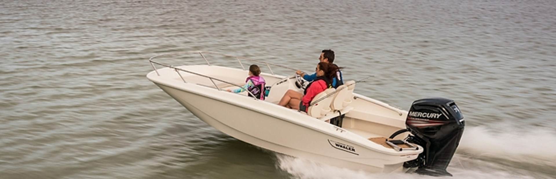Boston Whaler 160 Super Sport Boats, Example 1