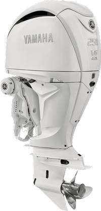 Yamaha V6 4.2L 250HP
