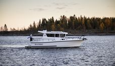 Sargo 28